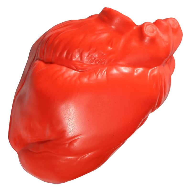 Heart No Veins Stress Reliever - 3