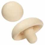 Mushroom Stress Reliever - 1