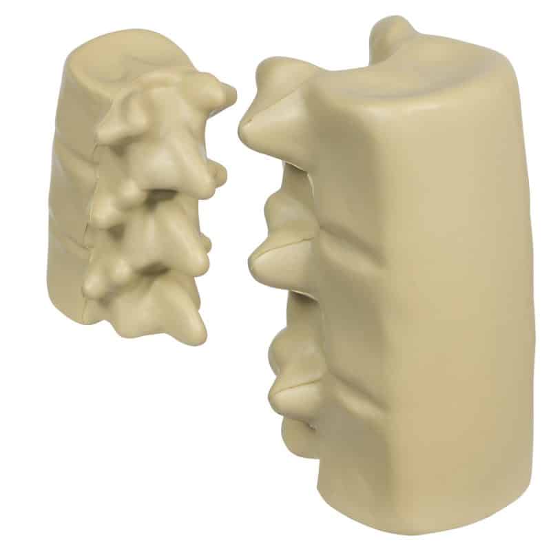 Spinal Segment Stress Reliever - 1