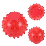 Spike Massage Ball - 5