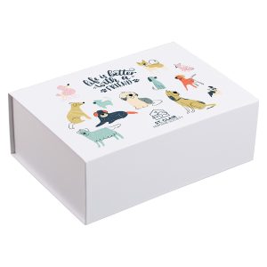 Premium Medium Magnetic Closure Gift Box