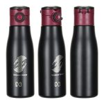 NAYAD® Hamlin 18 oz Stainless Double-wall Vacuum Insulated Bottle - 2